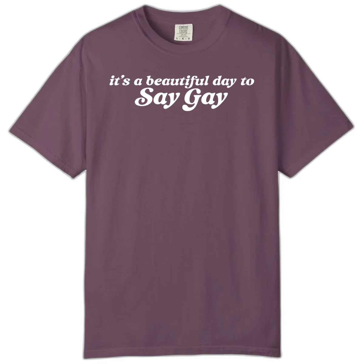 White italic text reading 'it's a beautiful day to Say Gay' on gray background, beautiful-day-say-gay pride design in Berry