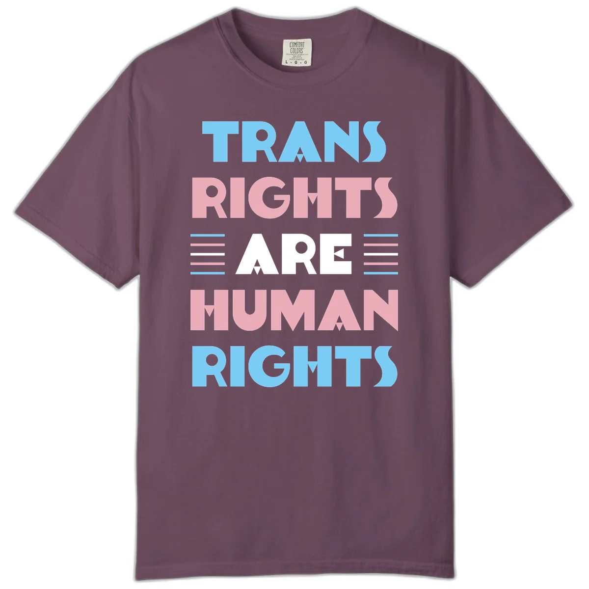 Bold typography design reading 'TRANS RIGHTS ARE HUMAN RIGHTS' in light blue, pink, and white letters with decorative stripes on a gray background in Berry