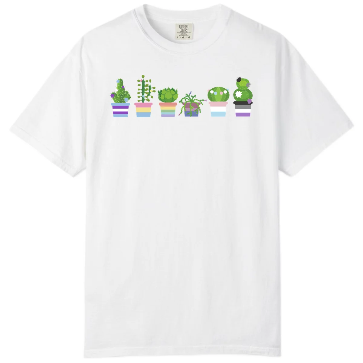 Six illustrated cacti and succulents in rainbow-striped pots with colorful blooms and spikes in White