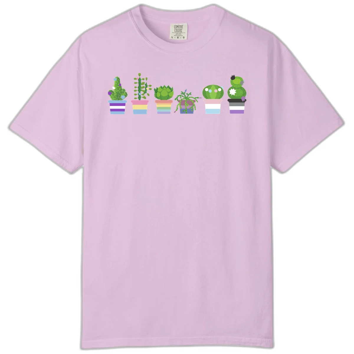 Six colorful potted cacti and succulents with rainbow-striped planters and delicate flowers in a cheerful garden arrangement in Orchid