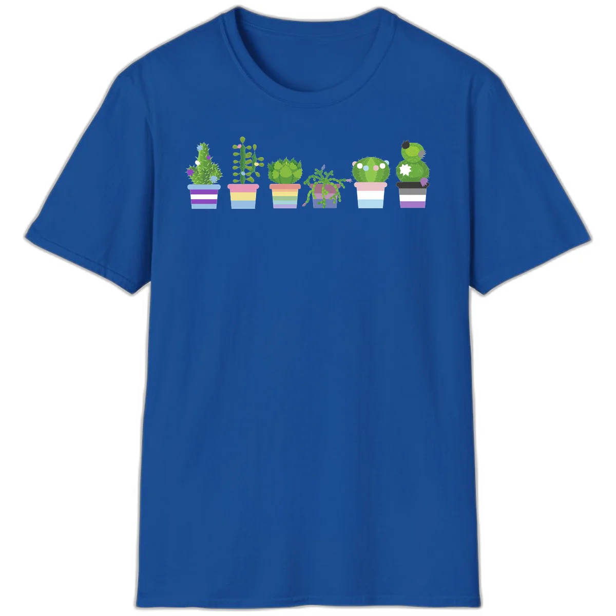 Six colorful potted cacti and succulents with rainbow-striped planters and delicate flowers in a cheerful garden arrangement in Royal